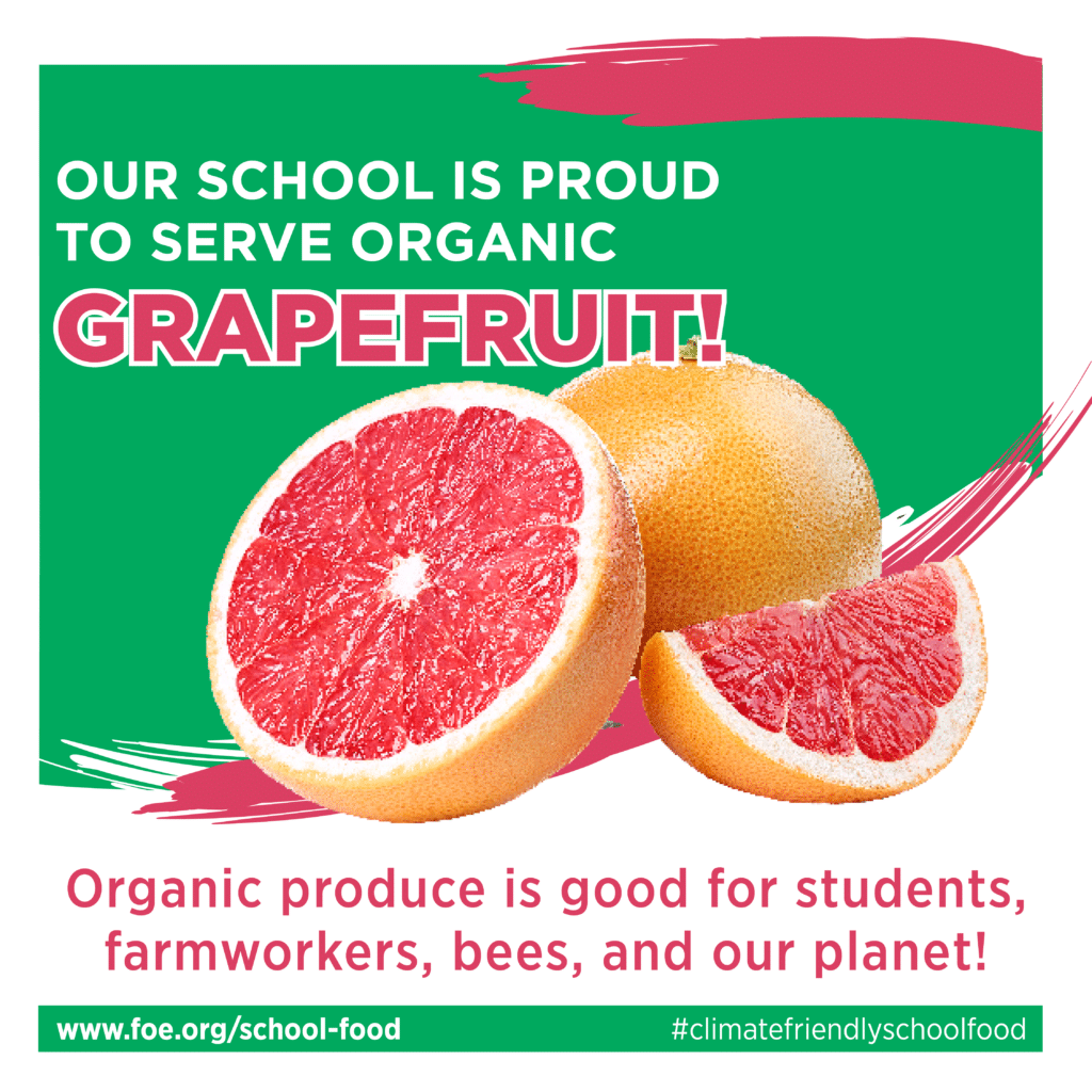 May contain three grapefruits.