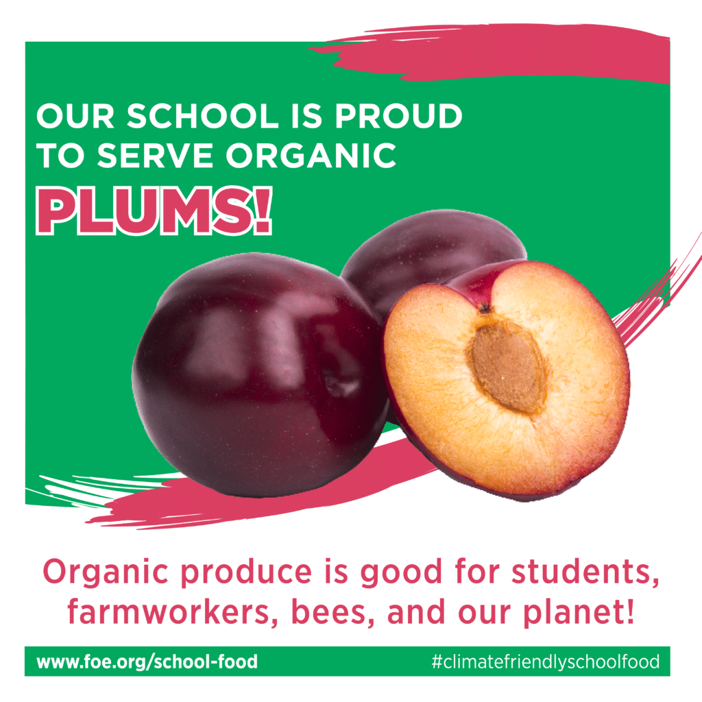 May contain three plums, one is cut in half.