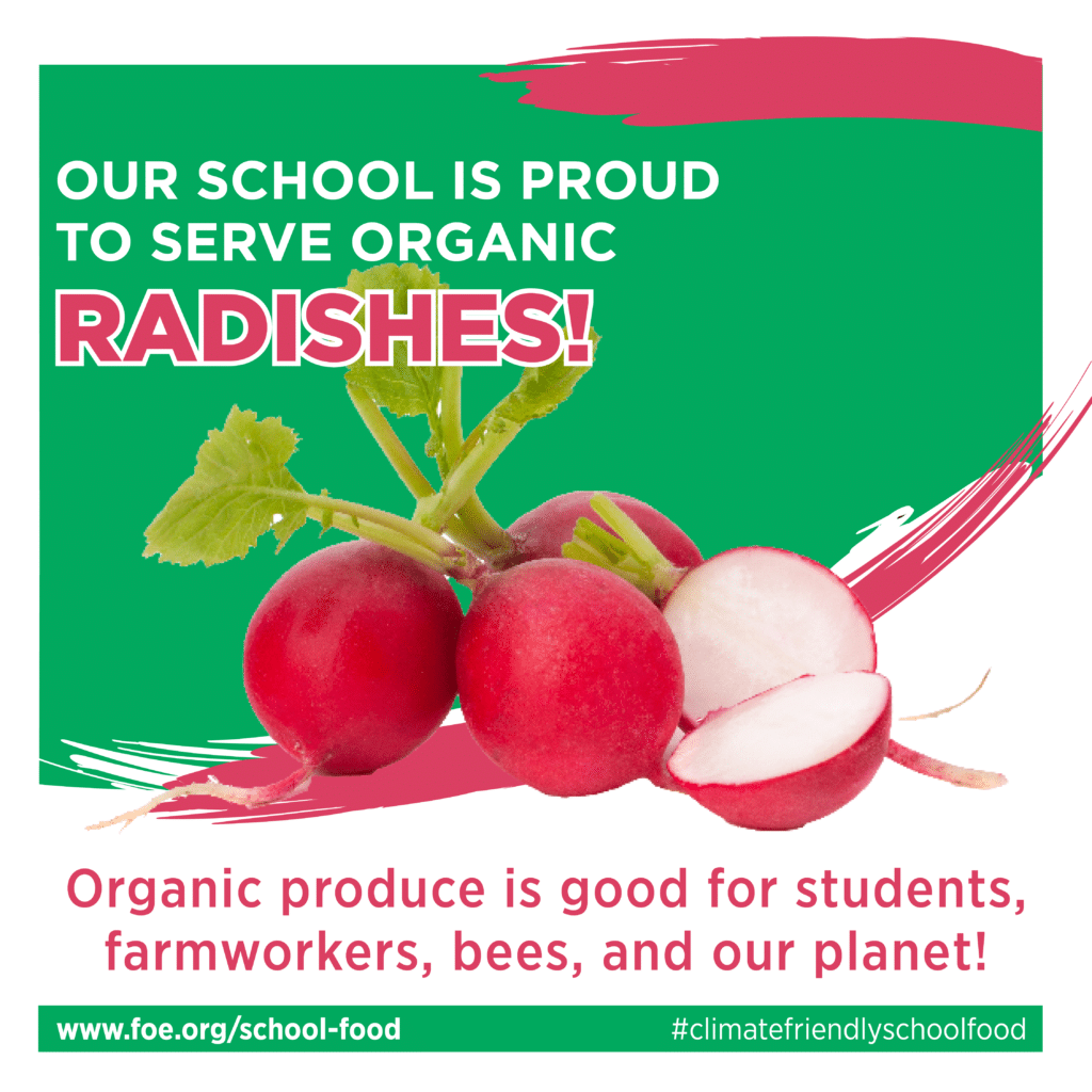 May contain a bunch of organic radishes with green tops.