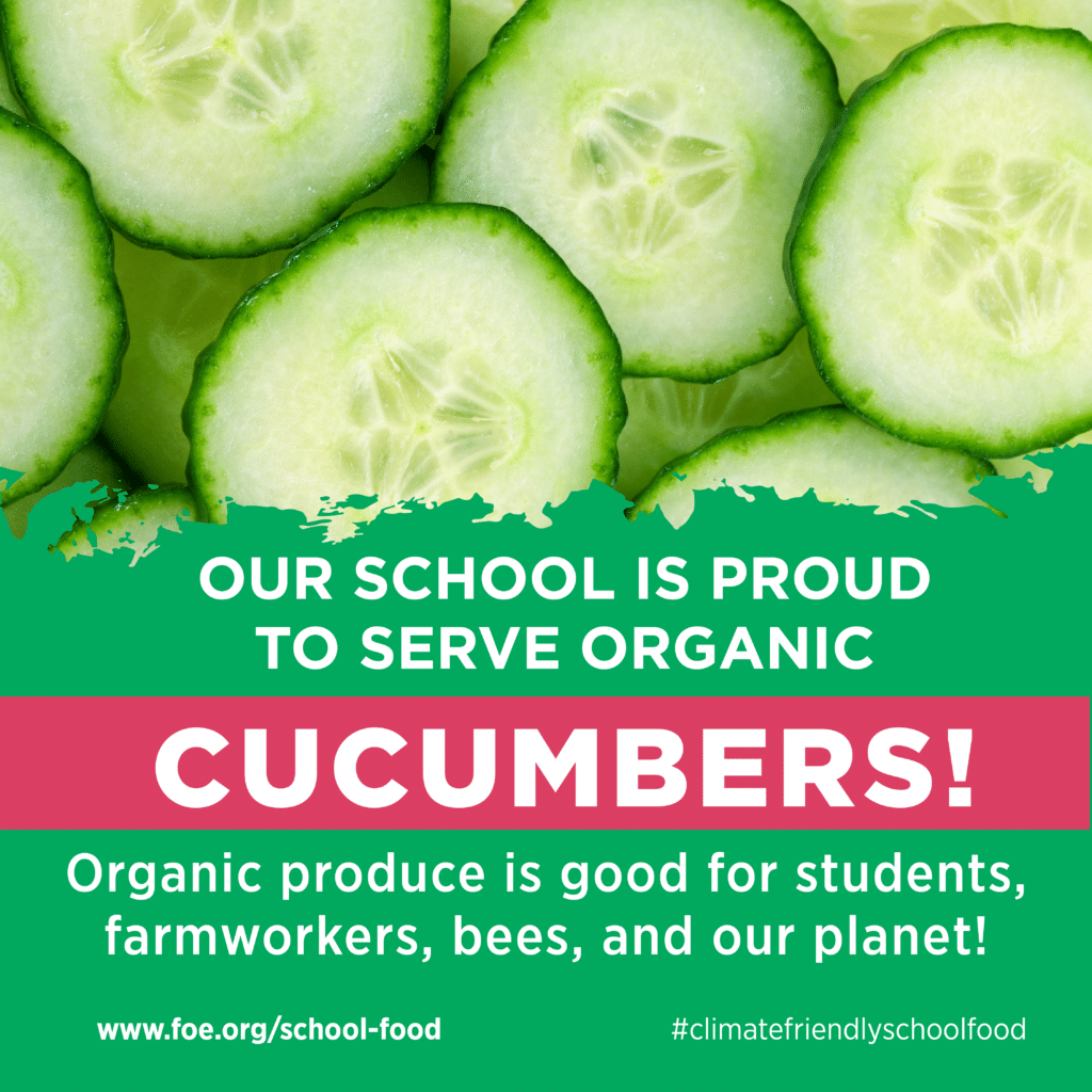 May contain sliced cucumbers. Our school is proud to serve organic cucumbers! Organic produce is good for students, farmworkers, bees, and our planet!