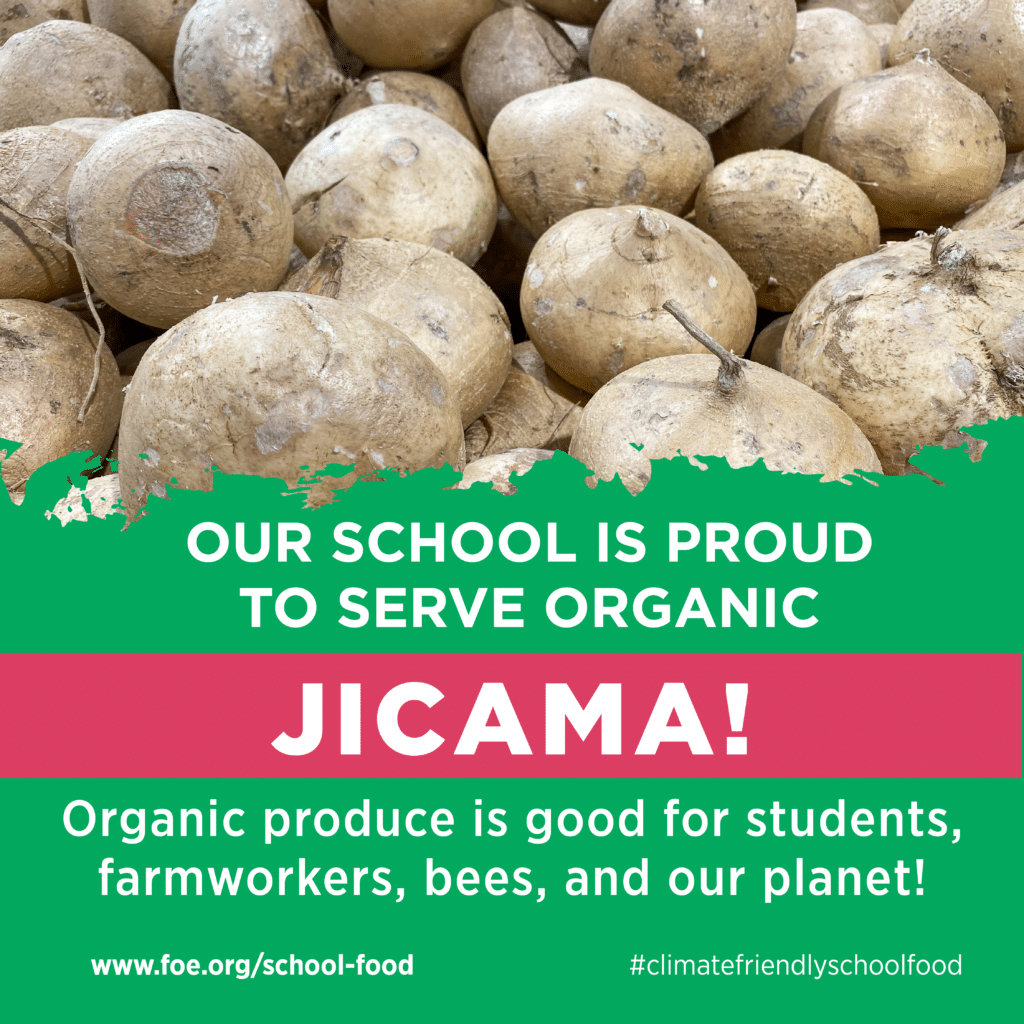 May contain a pile of jicama roots and text about organic produce.