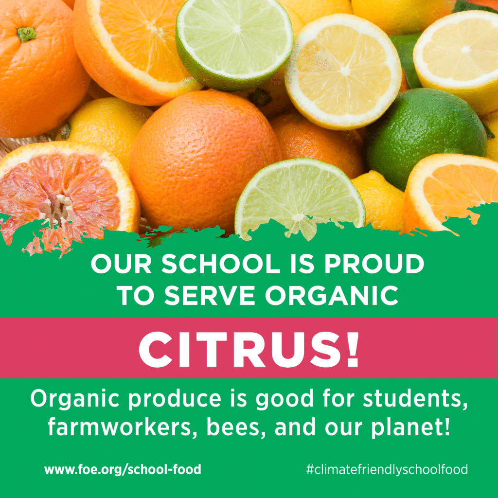 May contain a variety of citrus fruits including oranges, lemons, and limes.