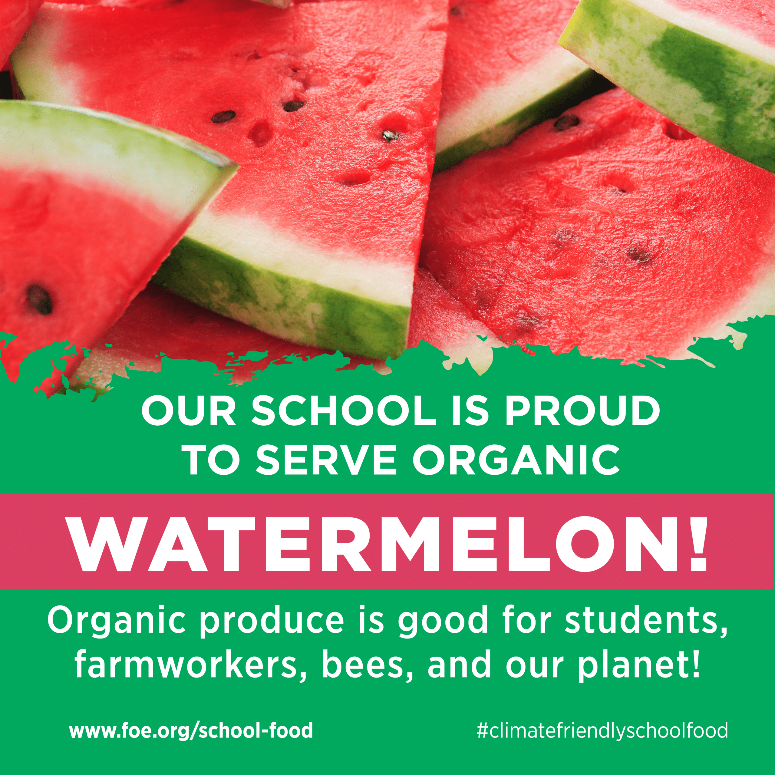 May contain a close-up of sliced watermelon on a green background.