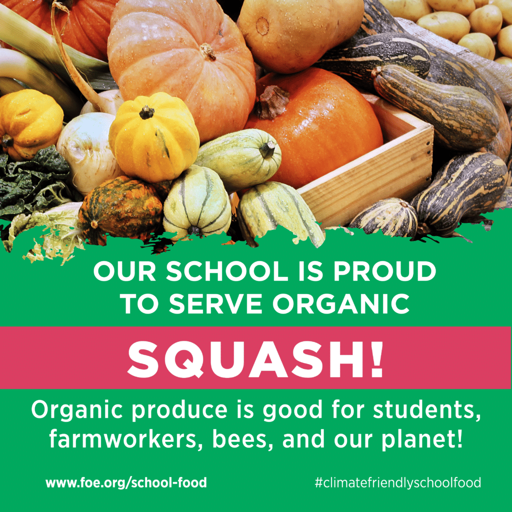 May contain a variety of pumpkins and squash.