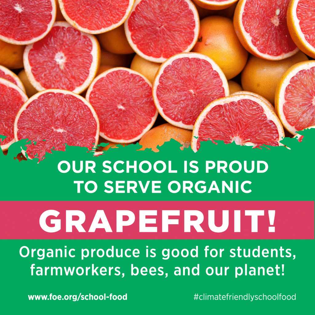 May contain several sliced grapefruits and whole grapefruits.