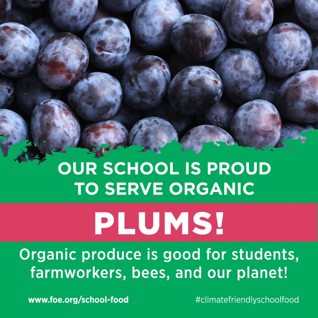 May contain a pile of organic plums.