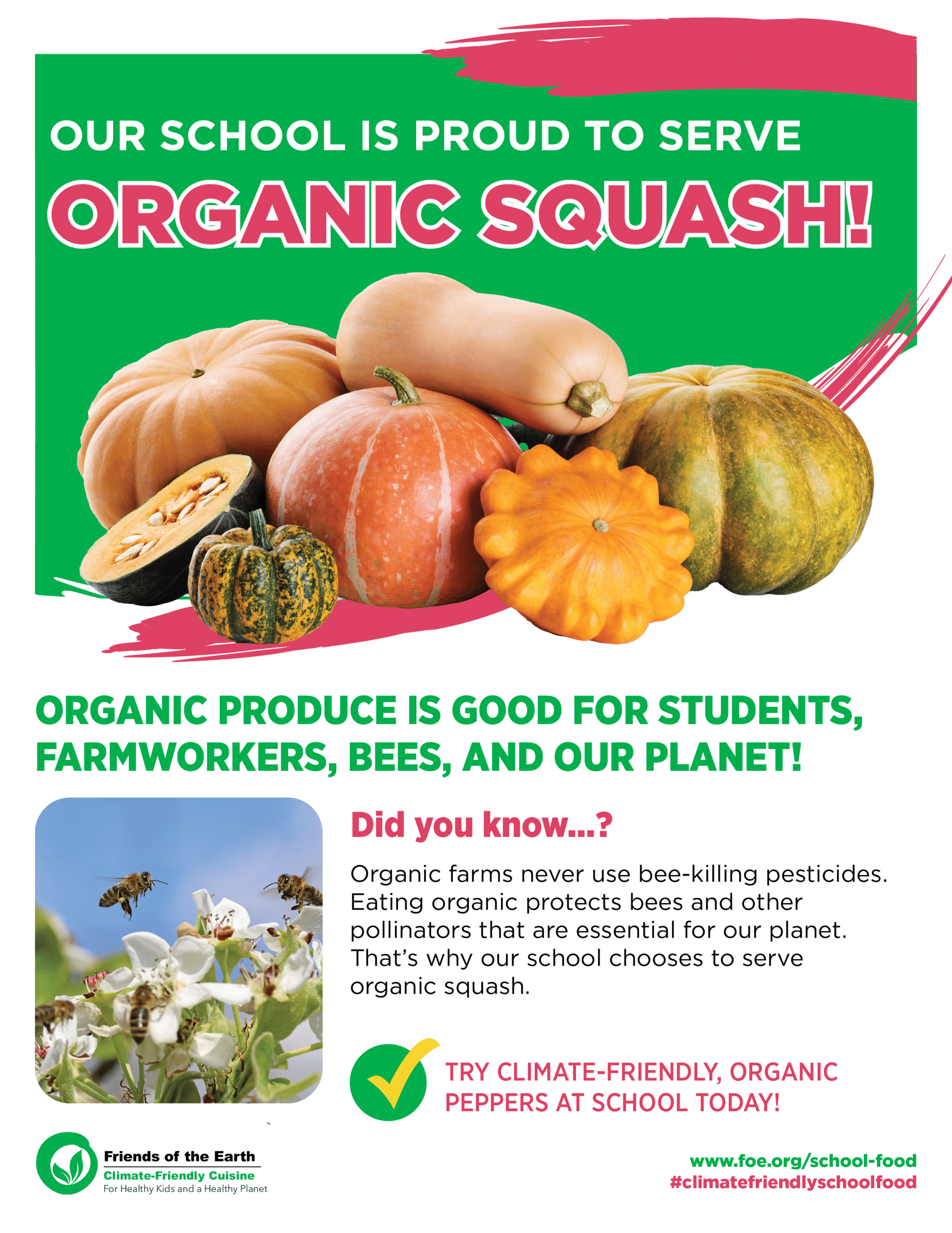May contain several organic squash varieties, a sliced squash, and bees on blossoms.
