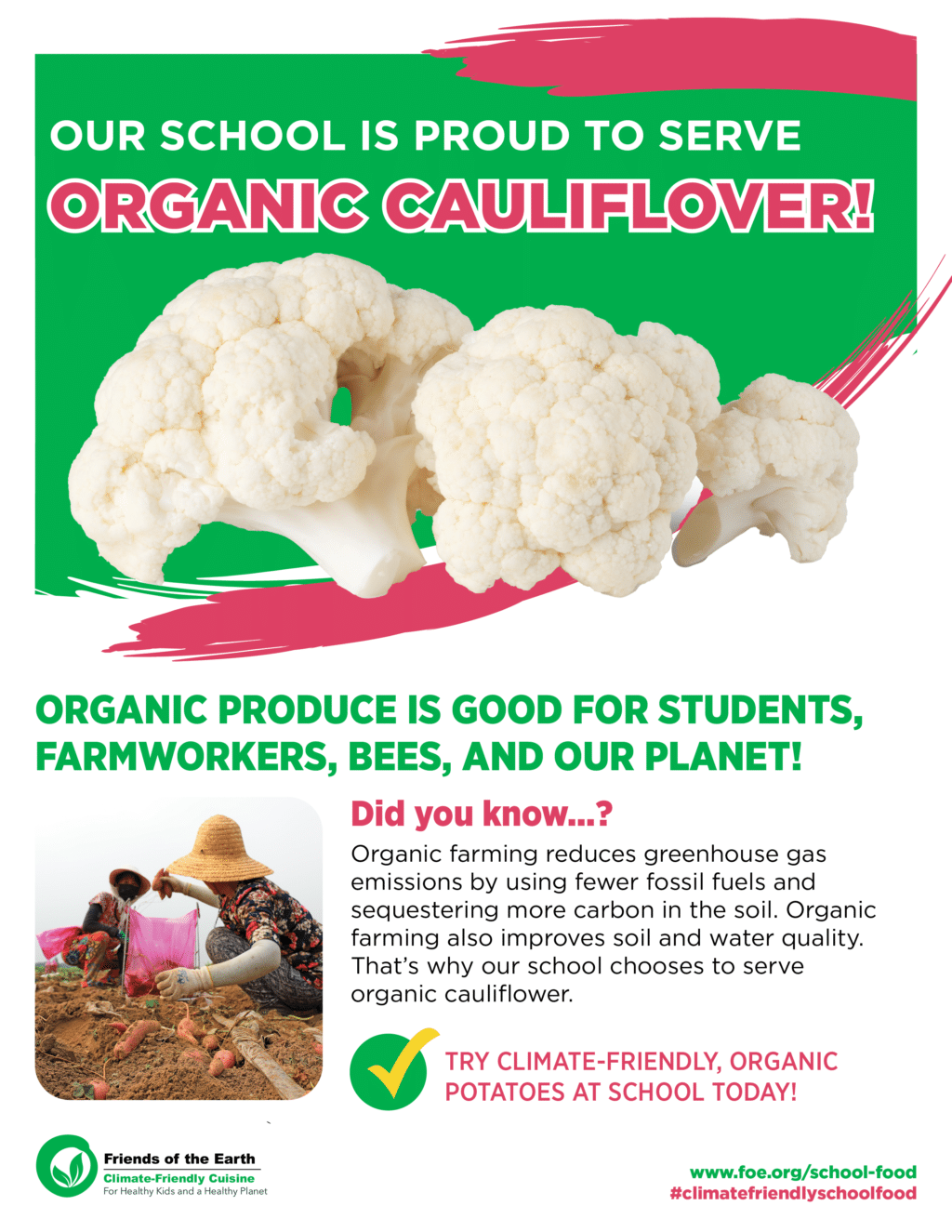 May contain three heads of cauliflower, two people harvesting root vegetables.