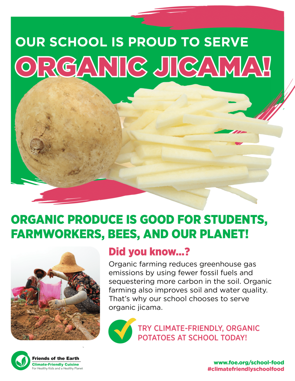 May contain a whole jicama and sliced jicama.