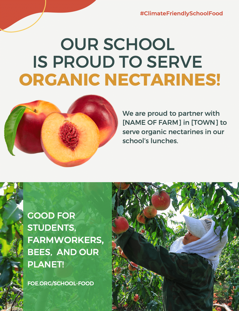 May contain a person picking nectarines.