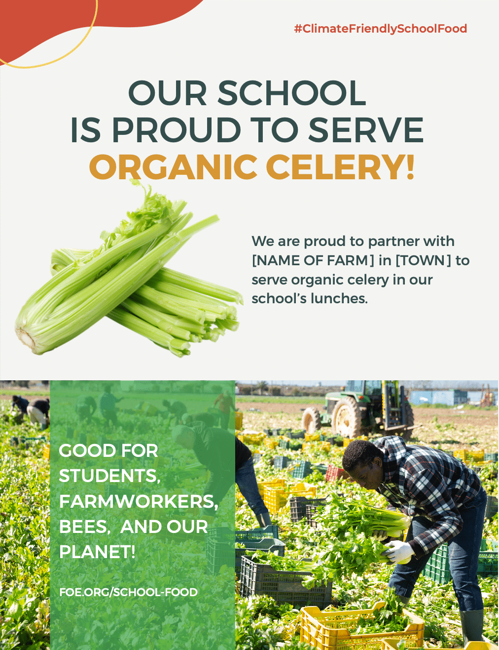 May contain a bunch of celery and people in a field harvesting produce.