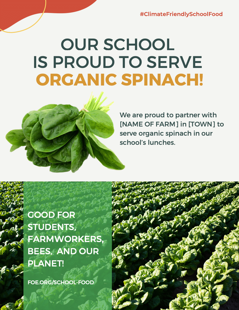 May contain a bunch of spinach and rows of spinach plants.