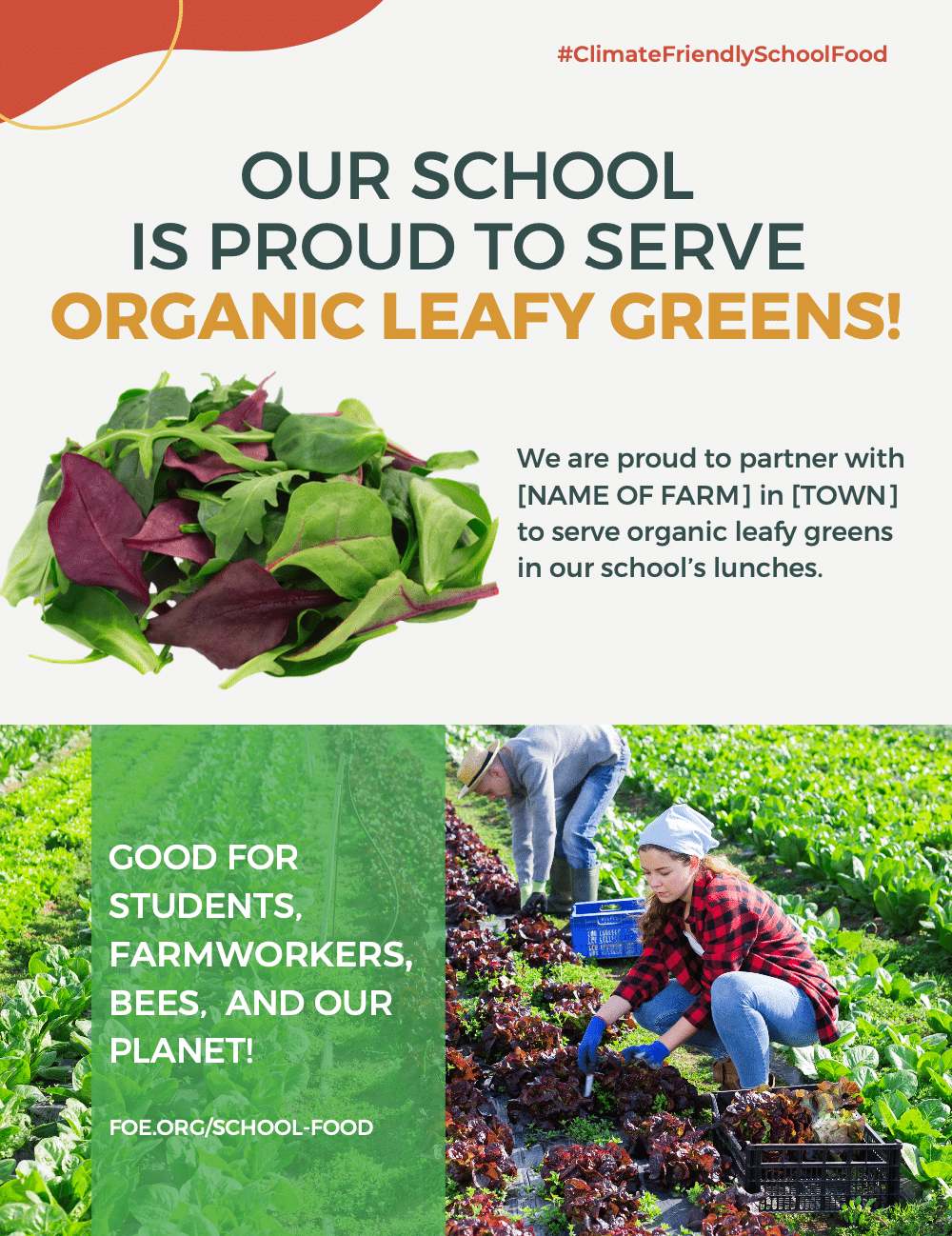 May contain two people working in a field of lettuce.