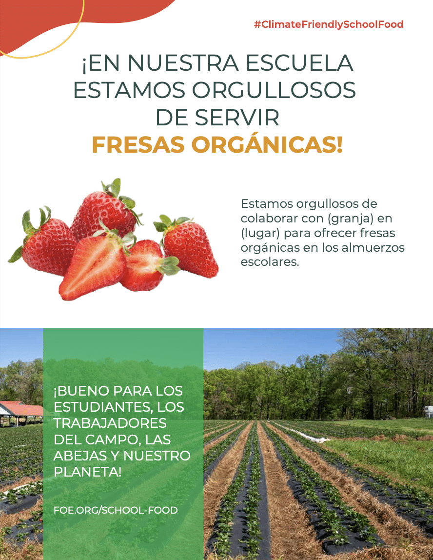 May contain fresh strawberries and a strawberry field.