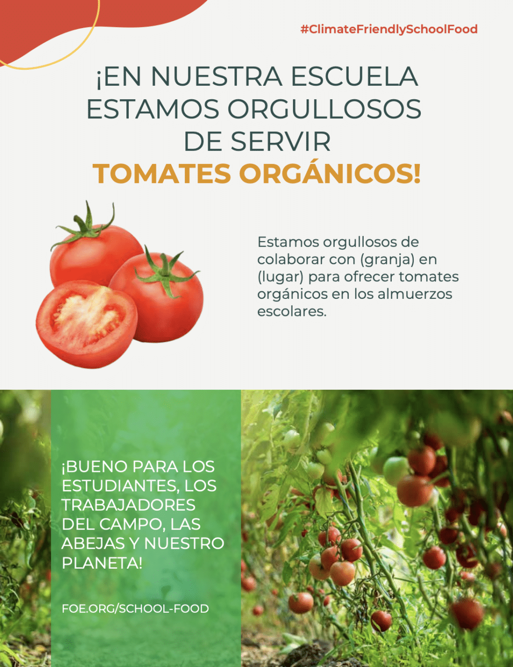 May contain fresh tomatoes and a tomato plant with ripe fruit.