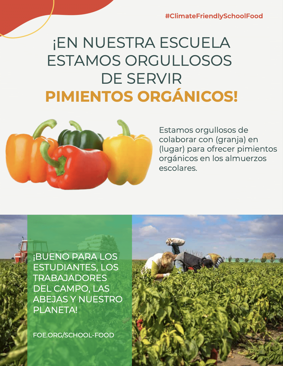 May contain people harvesting peppers in a field.