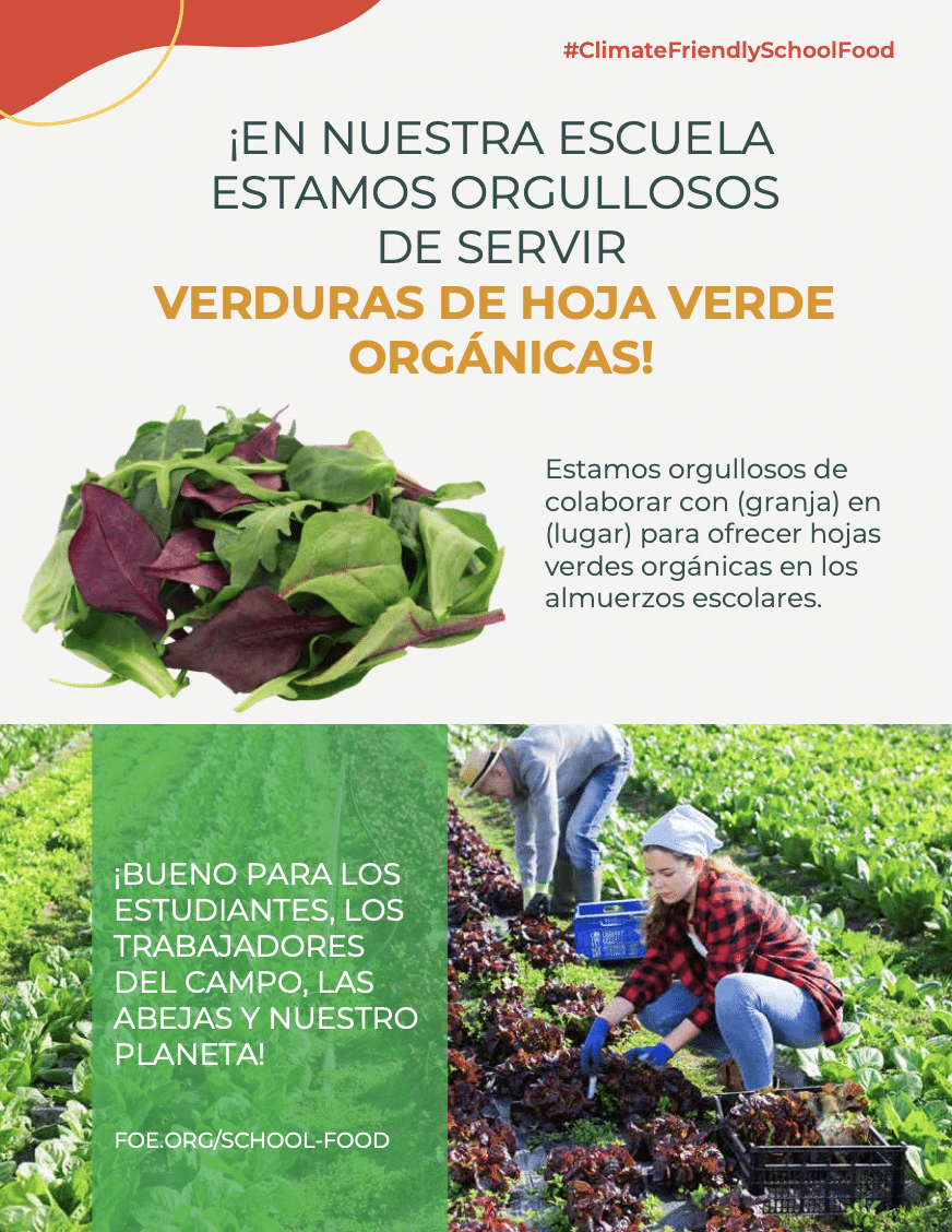 May contain two people harvesting lettuce in a field.