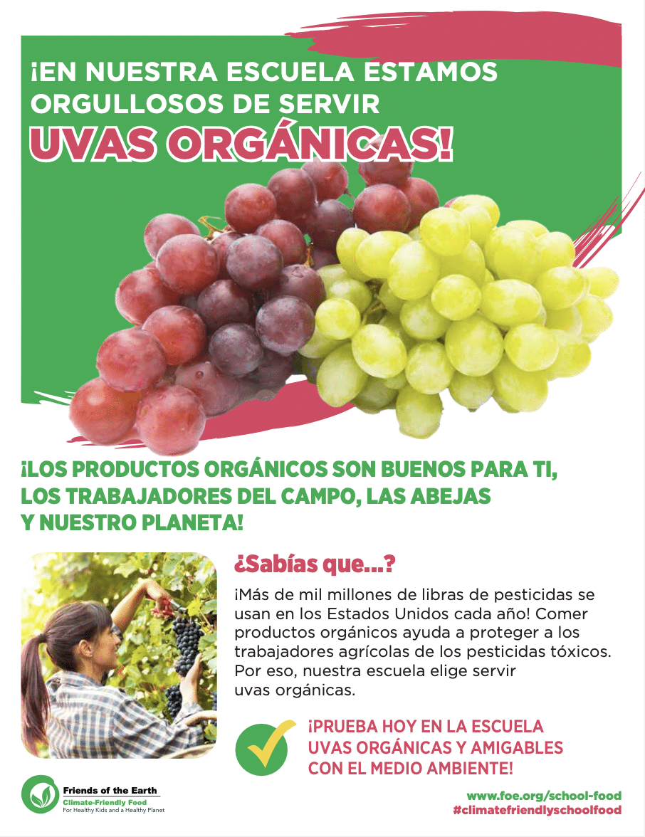 May contain two bunches of grapes, one red and one green.