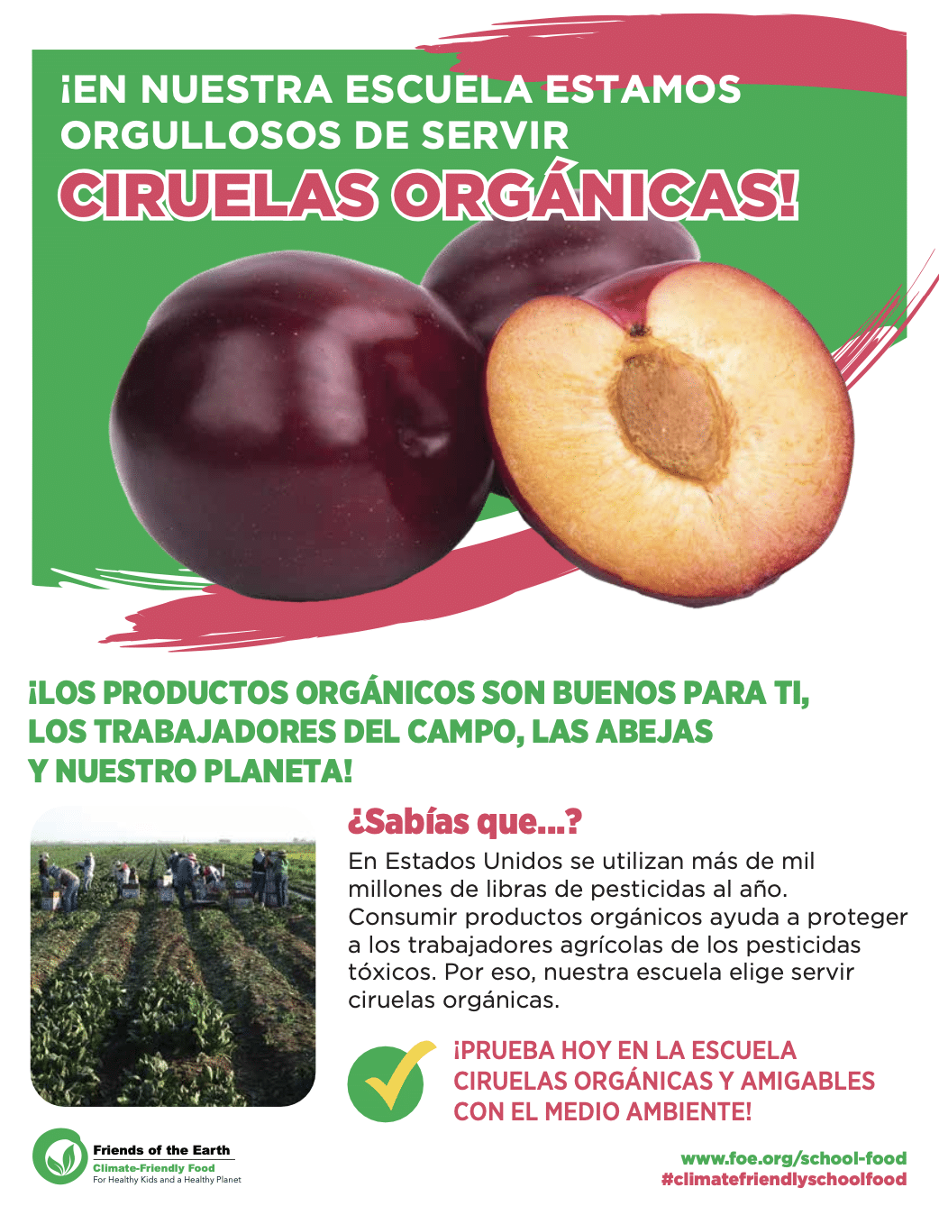 May contain two plums, one halved, and text about organic plums.