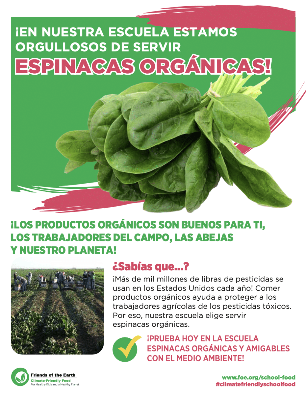 May contain a bunch of spinach and people in a field.