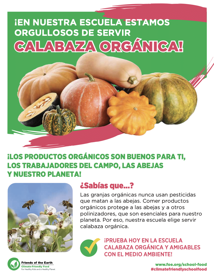 May contain various types of squash and pumpkins.