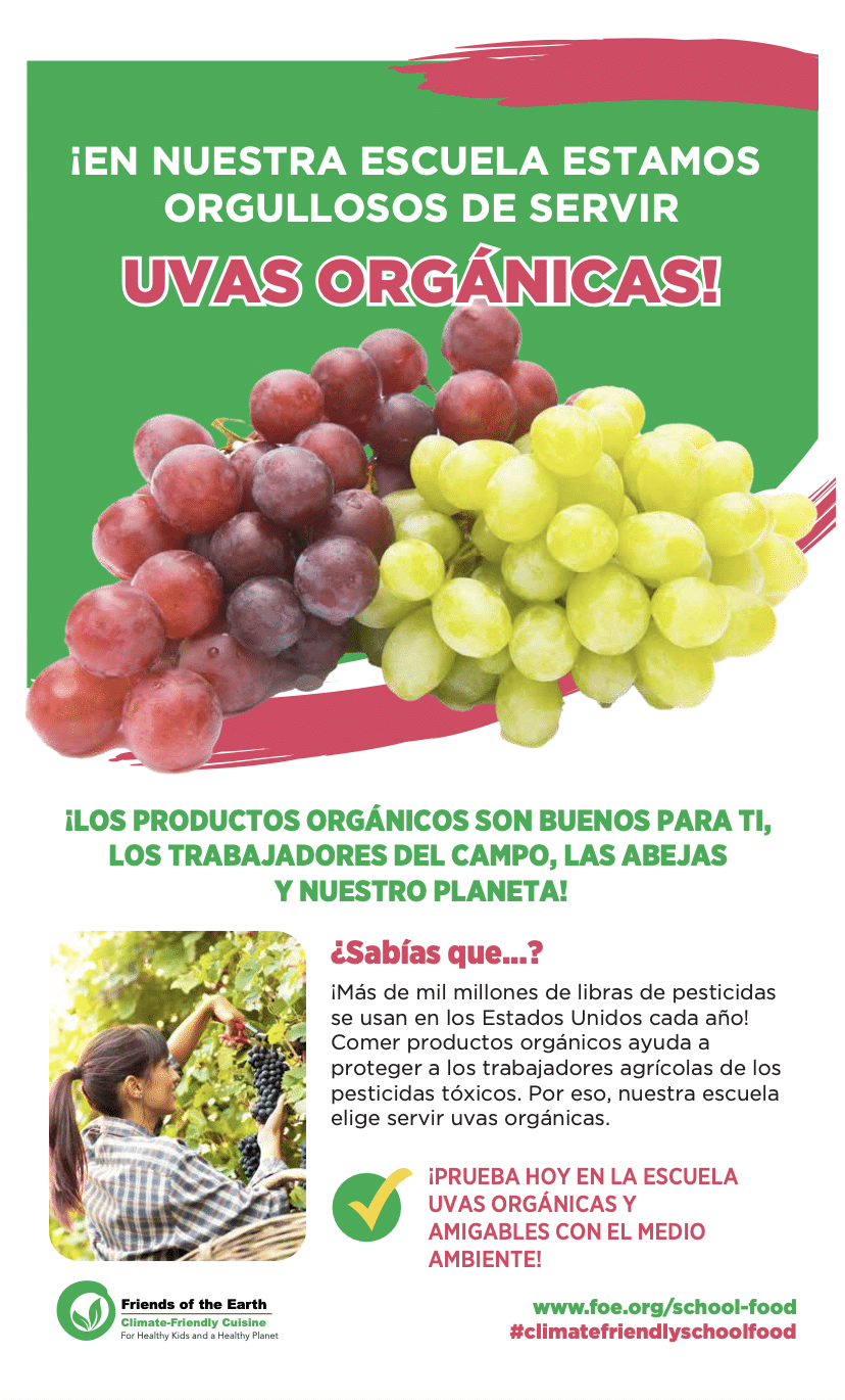 May contain a person harvesting grapes.