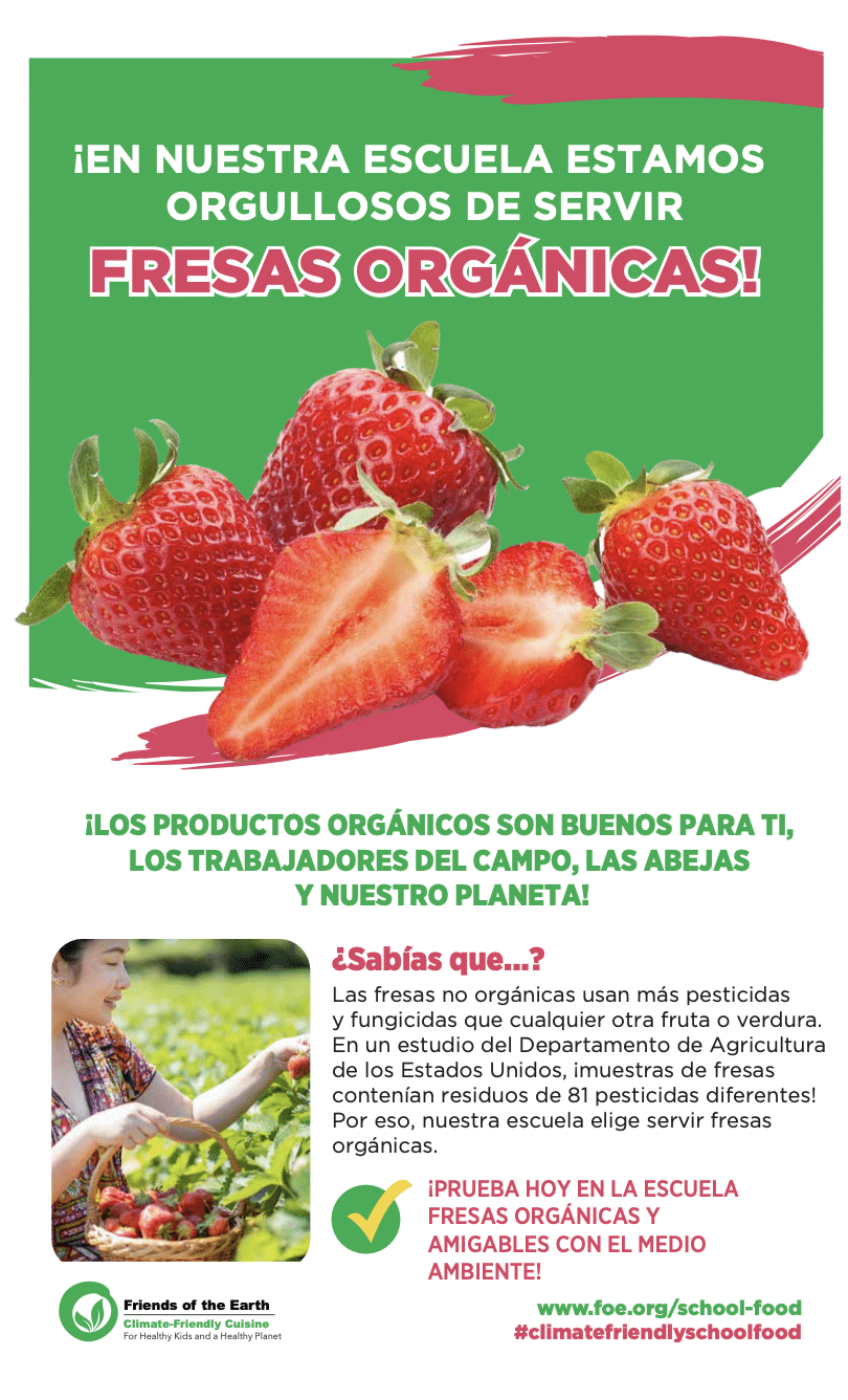 May contain a person picking strawberries in a field with a basket of strawberries.