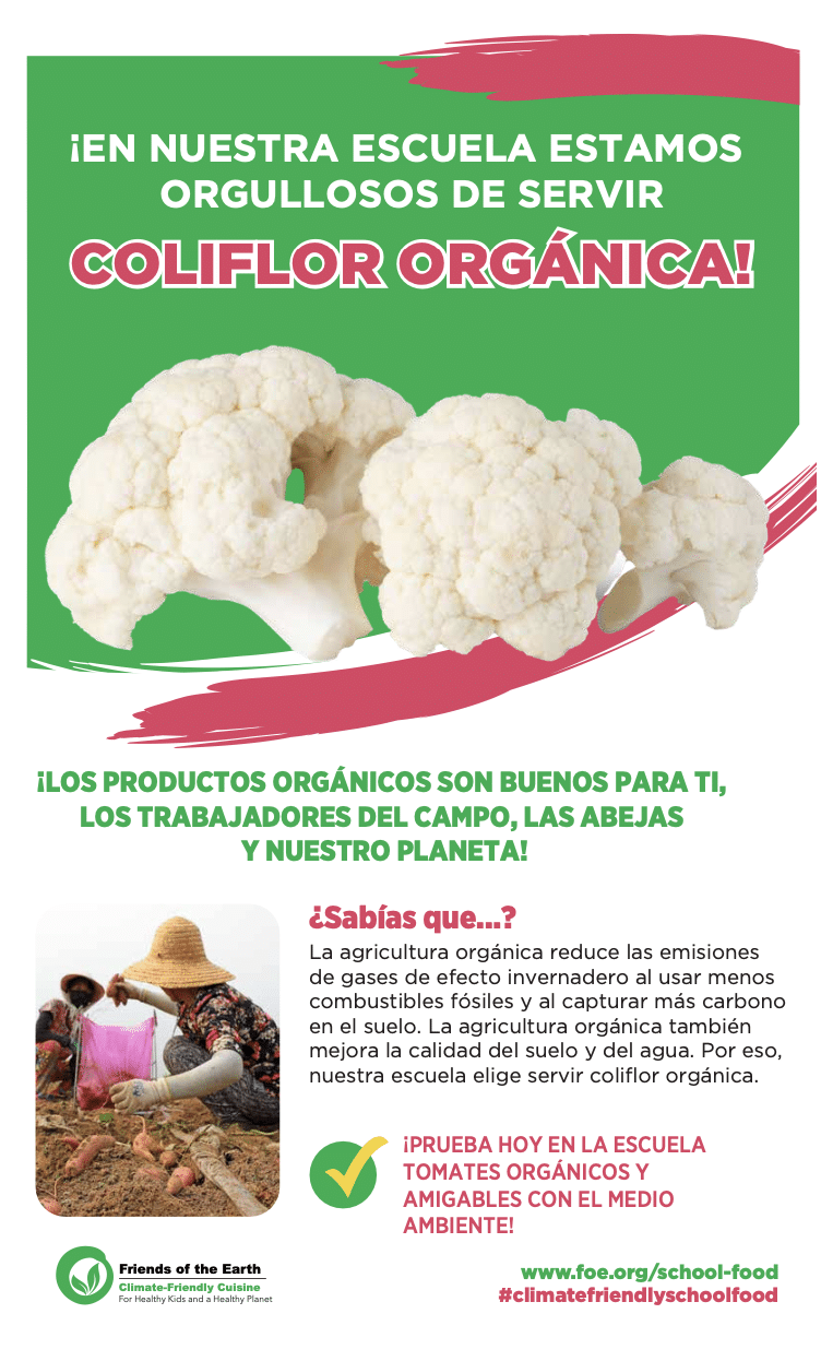 May contain a large cauliflower, two people harvesting produce, and text about organic food.