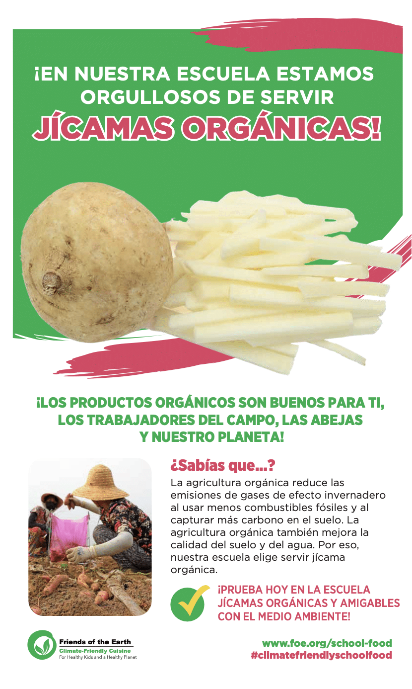 May contain a whole jicama and sliced jicama.