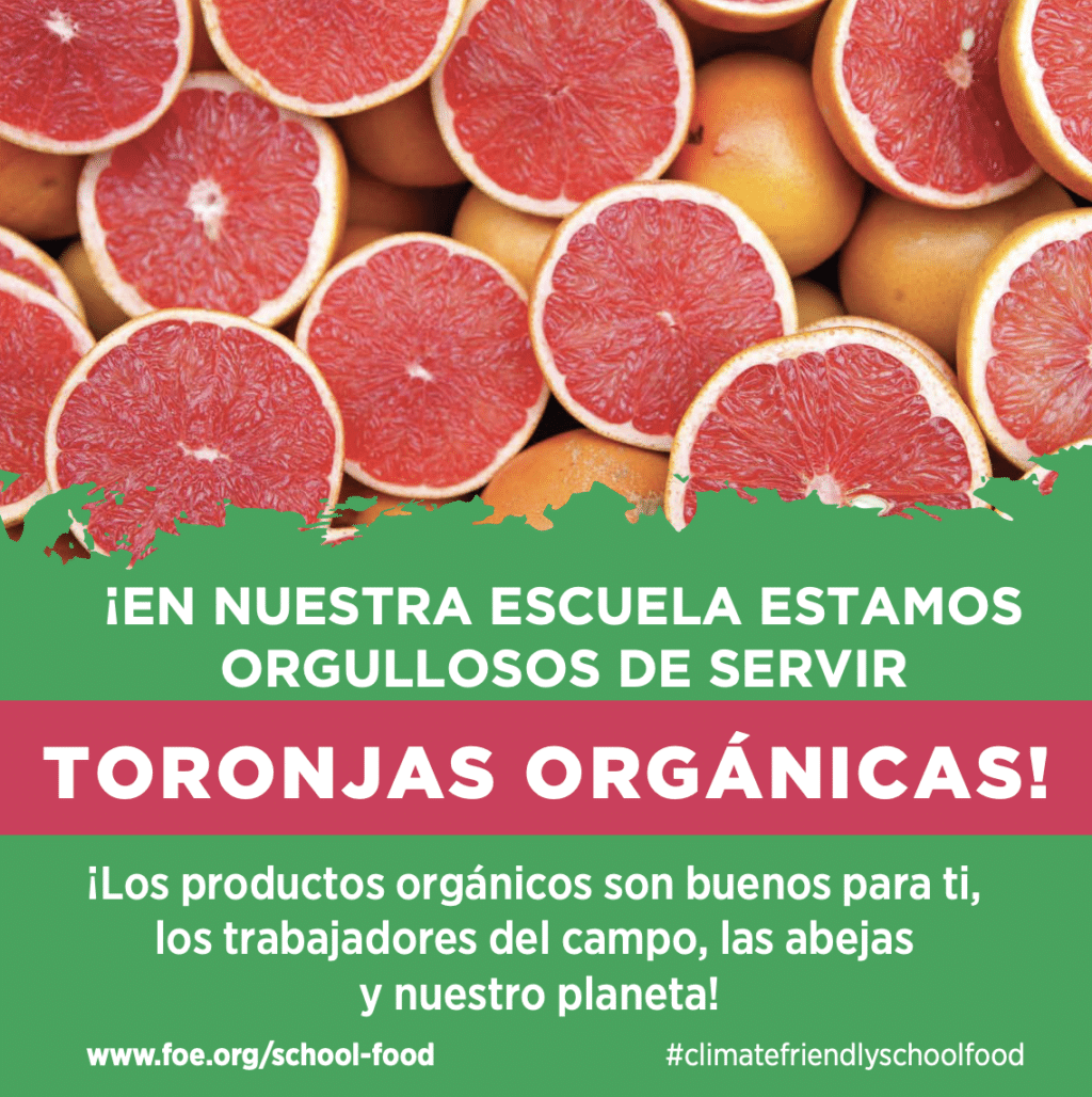 May contain grapefruits with text about school food.