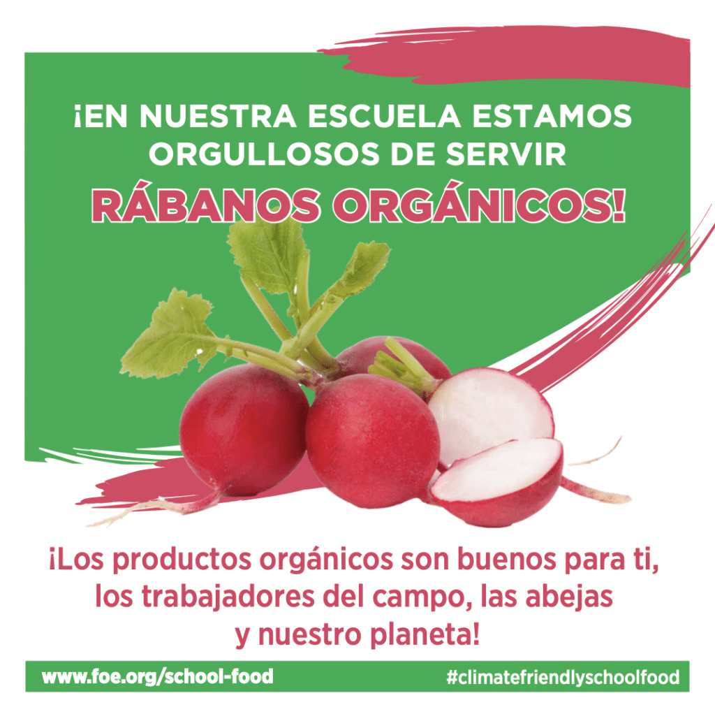 May contain a bunch of radishes on a green background.