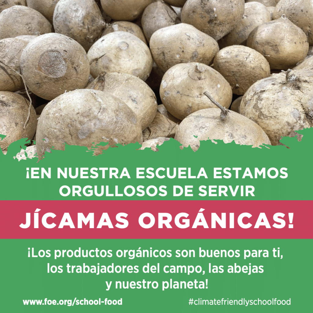 May contain a pile of jicama roots.