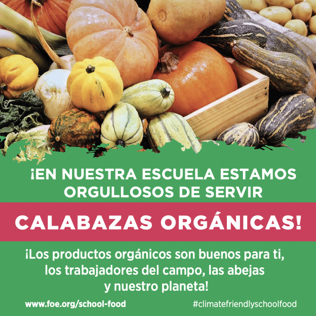 May contain various gourds and pumpkins in a pile.