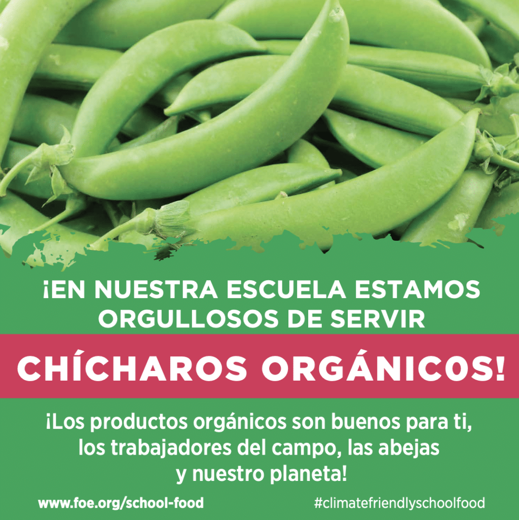 May contain a close-up of fresh green sugar snap peas.