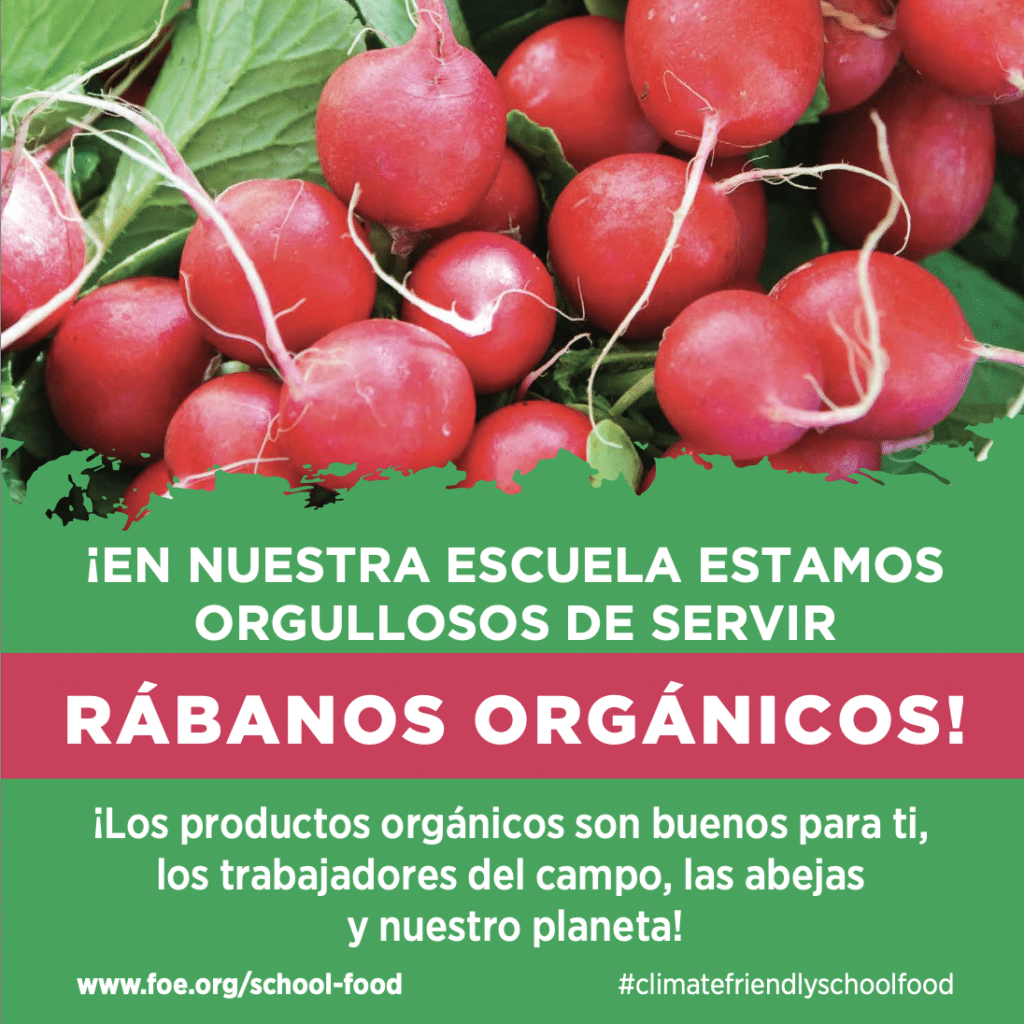 May contain a close-up of fresh radishes with green leaves.