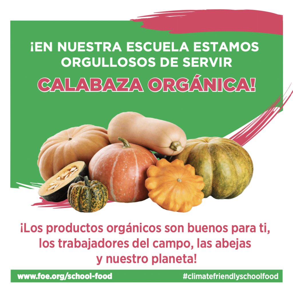 May contain several pumpkins and gourds of various shapes and colors.