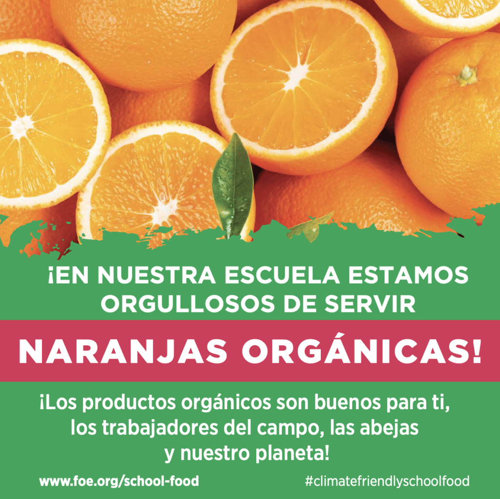 May contain oranges and text.