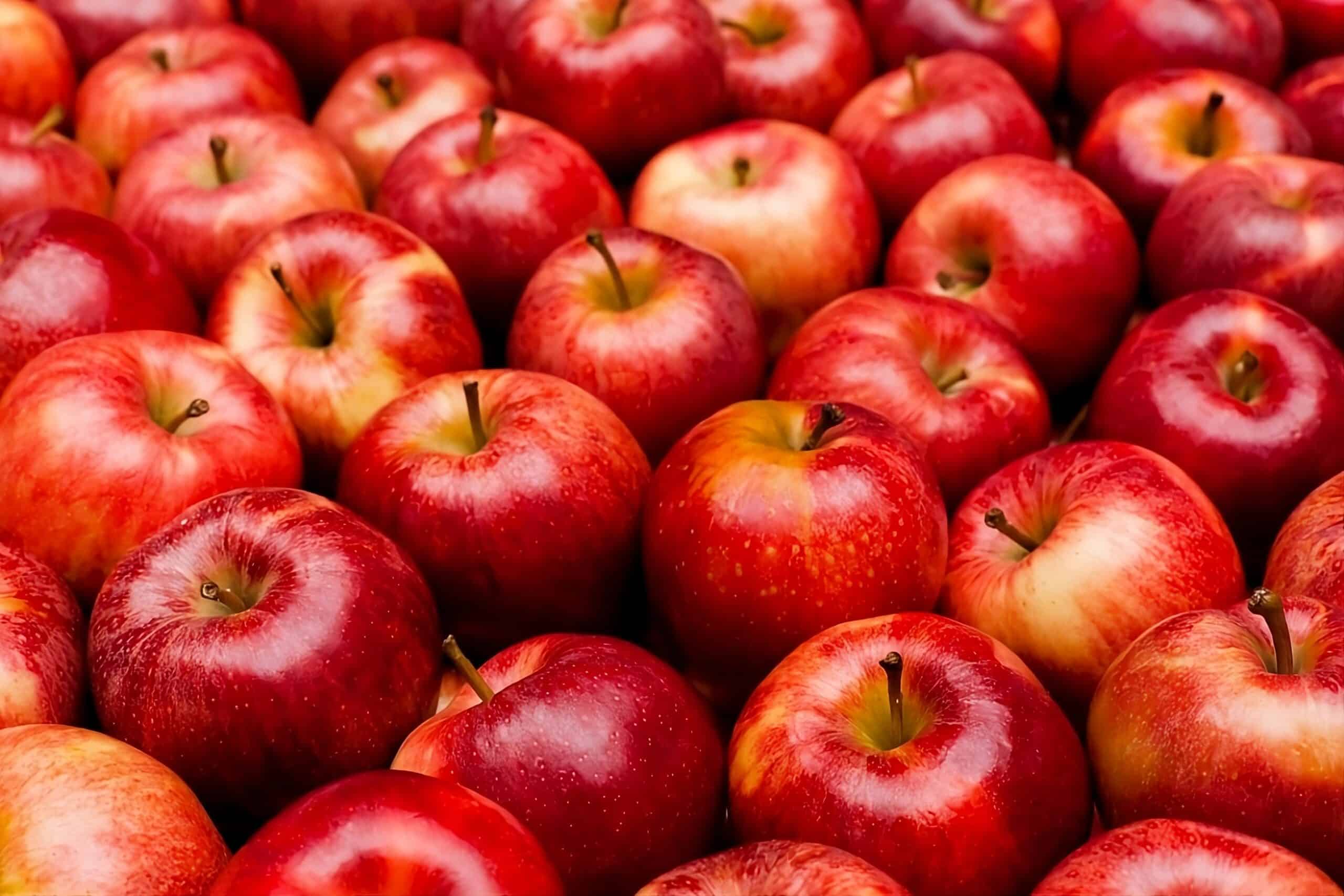 May contain many red apples.