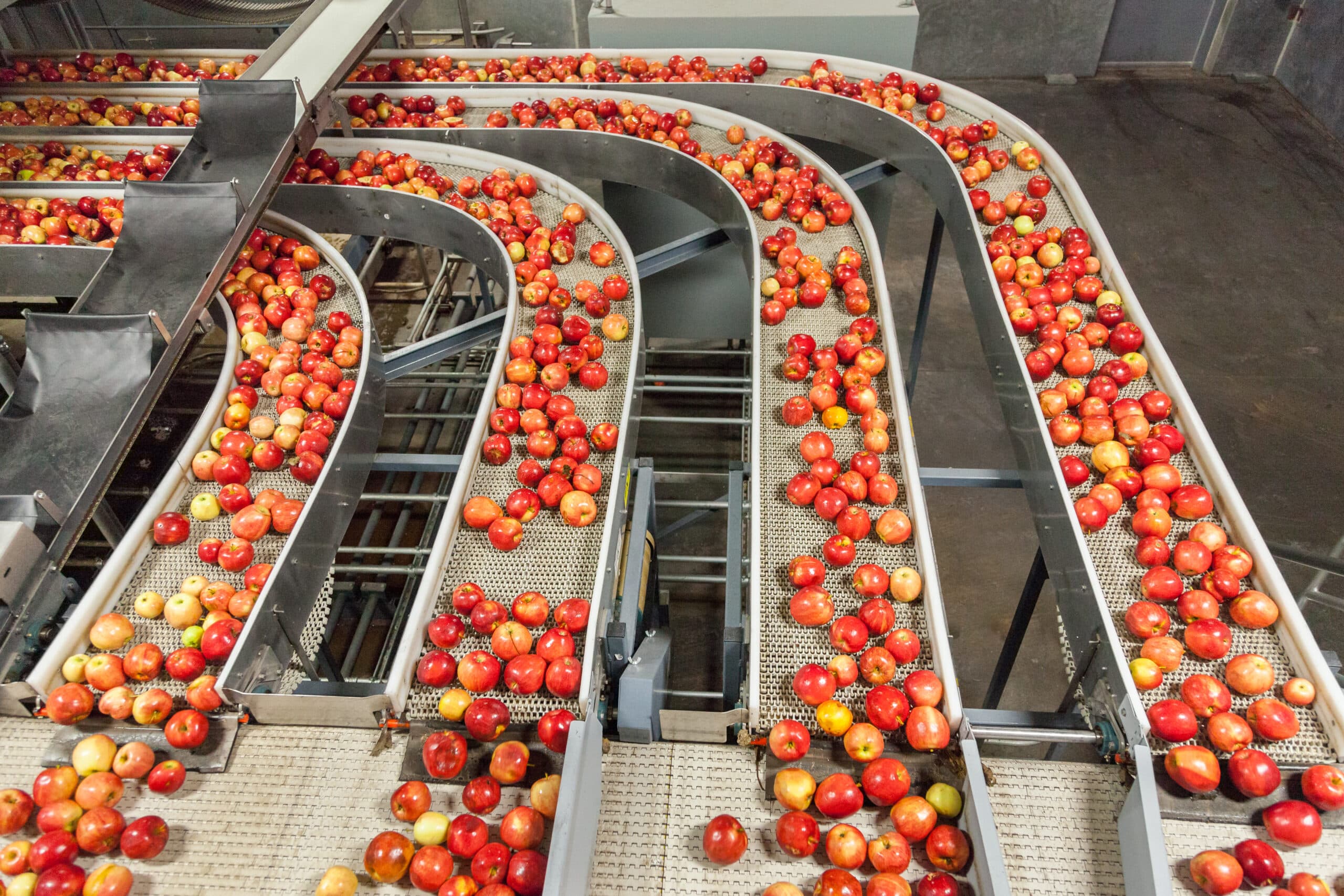 May contain many red apples on conveyor belts.