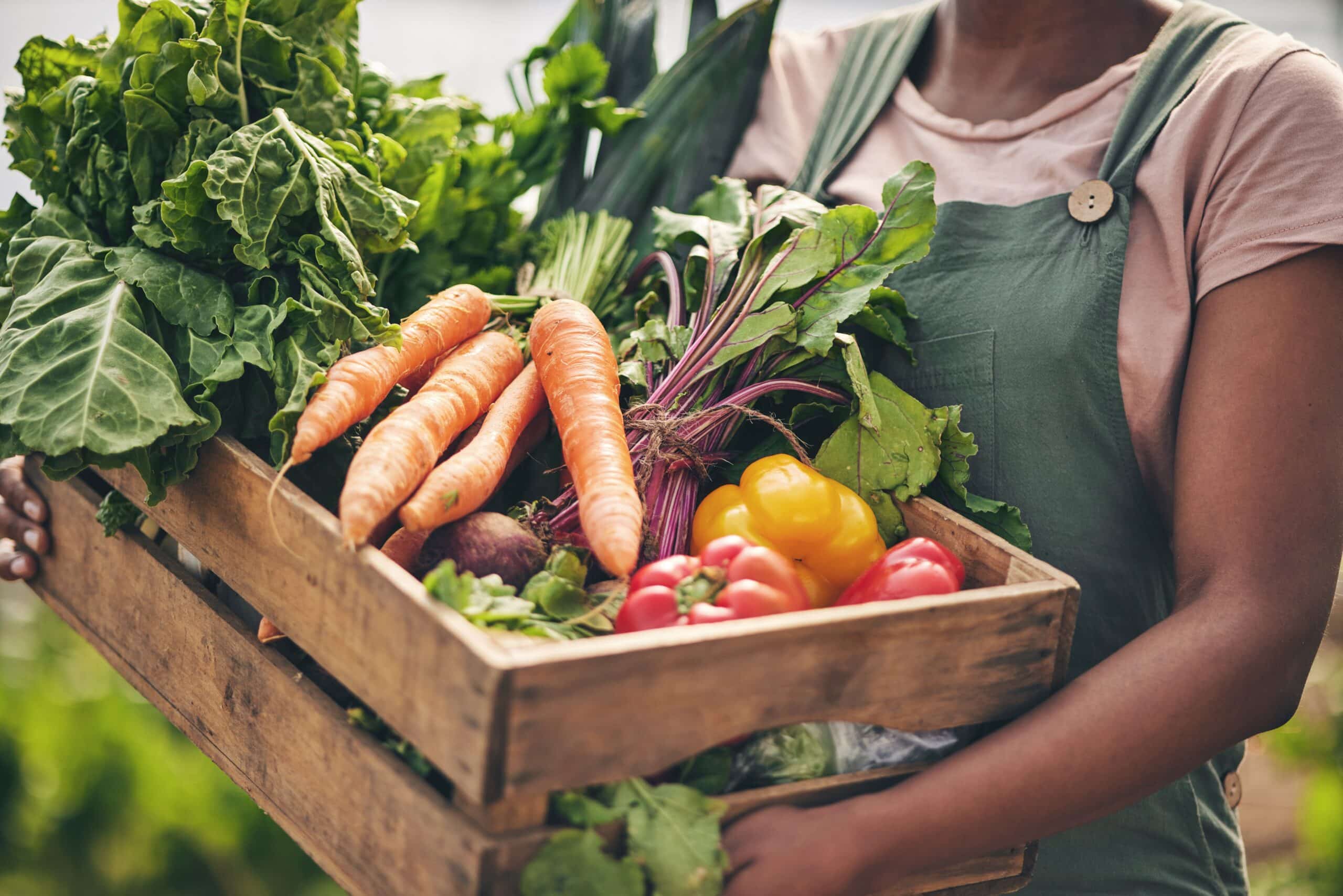 May contain a person holding a wooden crate of fresh vegetables including carrots, beets, peppers, and greens.