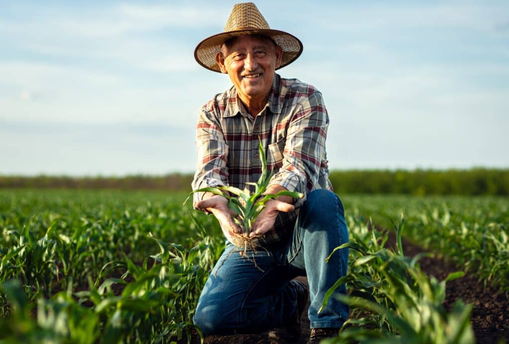 May contain a person in a straw hat holding a small plant in a cornfield.