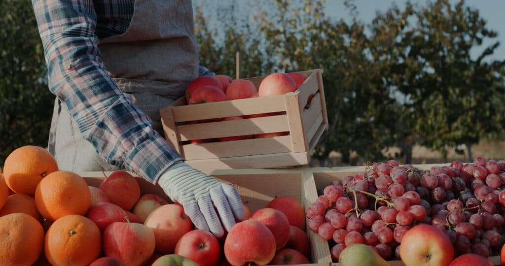 May contain one person handling fruit.