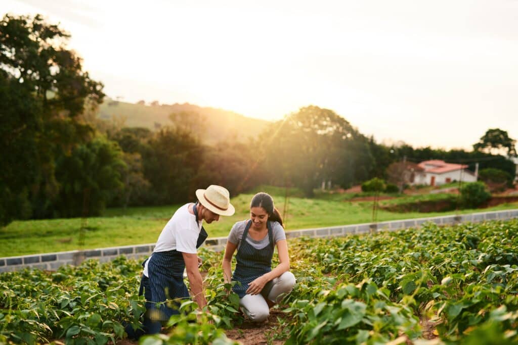 May contain two people tending to plants in a field at sunset.