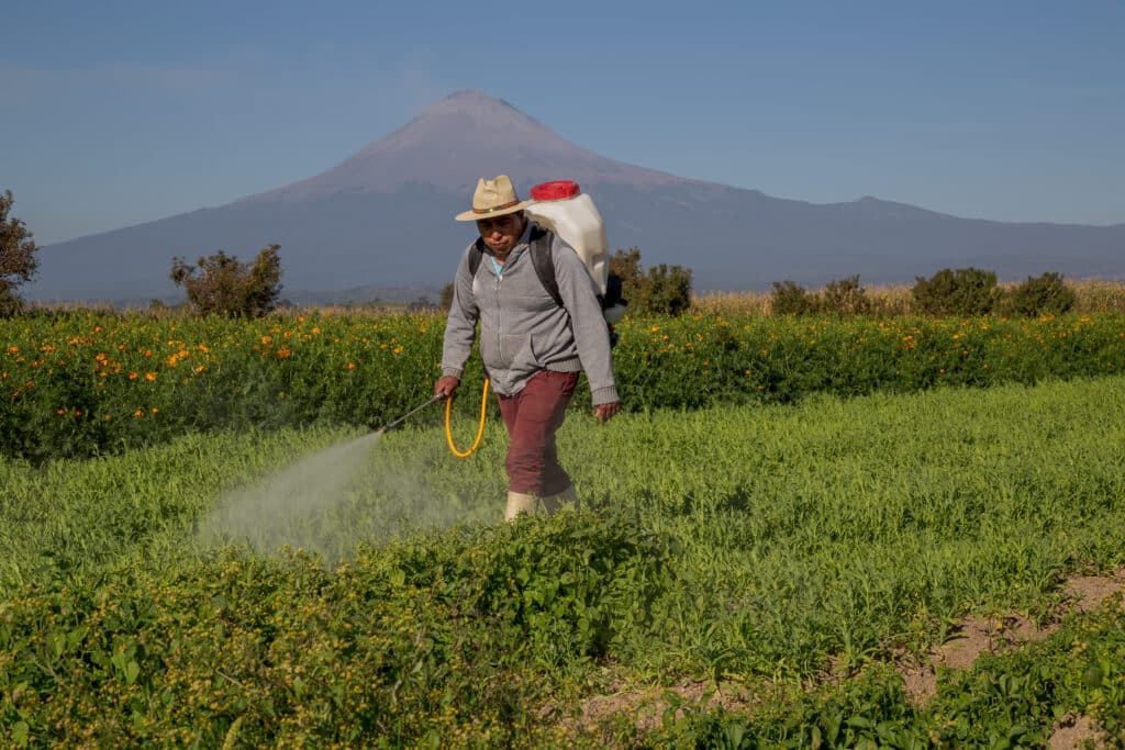 May contain one person spraying a field with a large tank on their back.