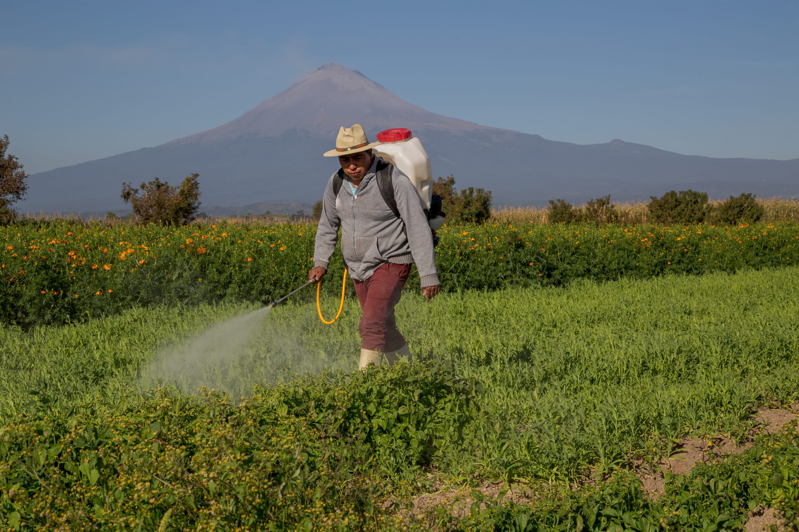 May contain one person spraying a field with a large tank on their back.