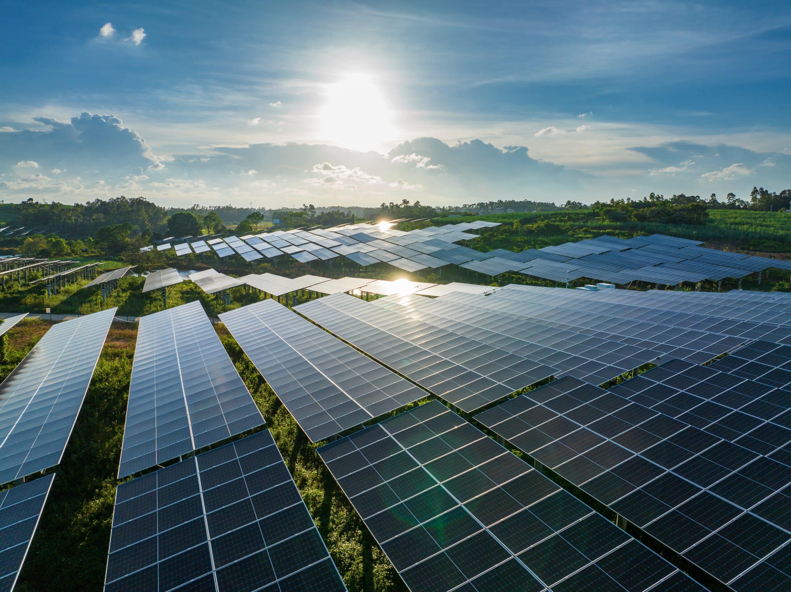 May contain a large solar farm under a bright sun.