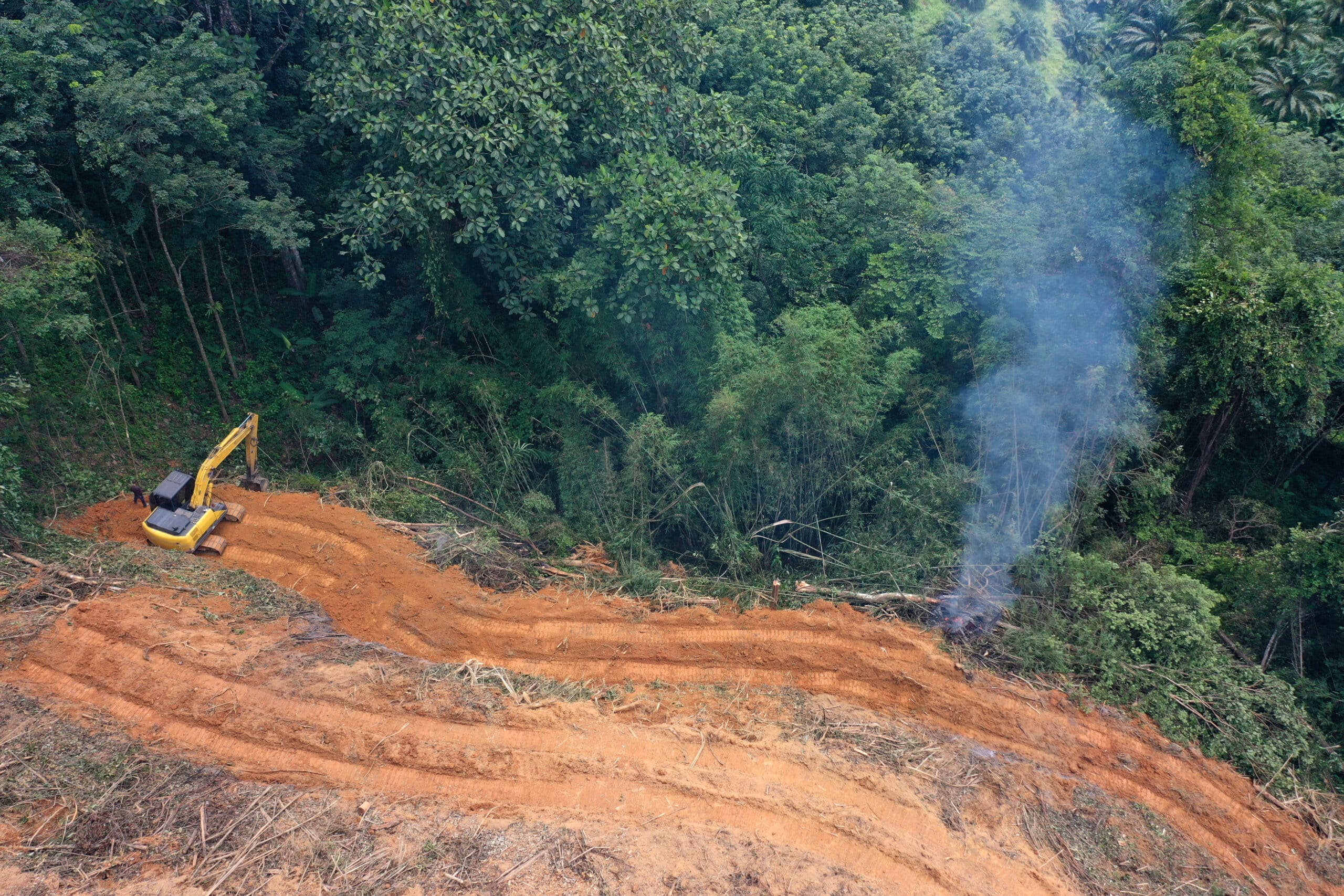 May contain a person by an excavator in a cleared section of forest with smoke rising.