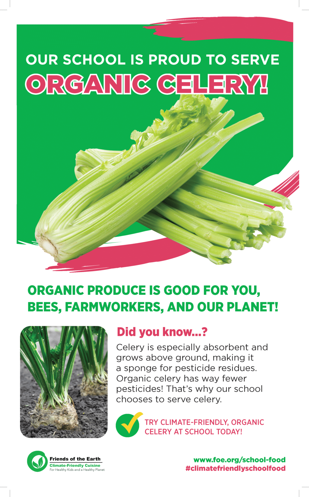 May contain a pile of fresh celery stalks and roots.