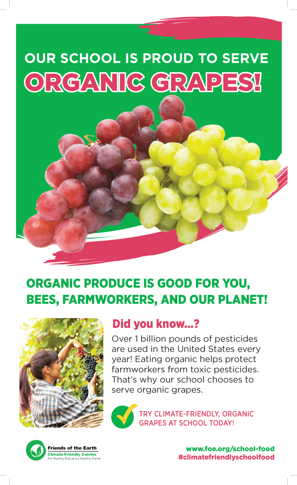 May contain a person harvesting grapes, text and bunches of red and green grapes.