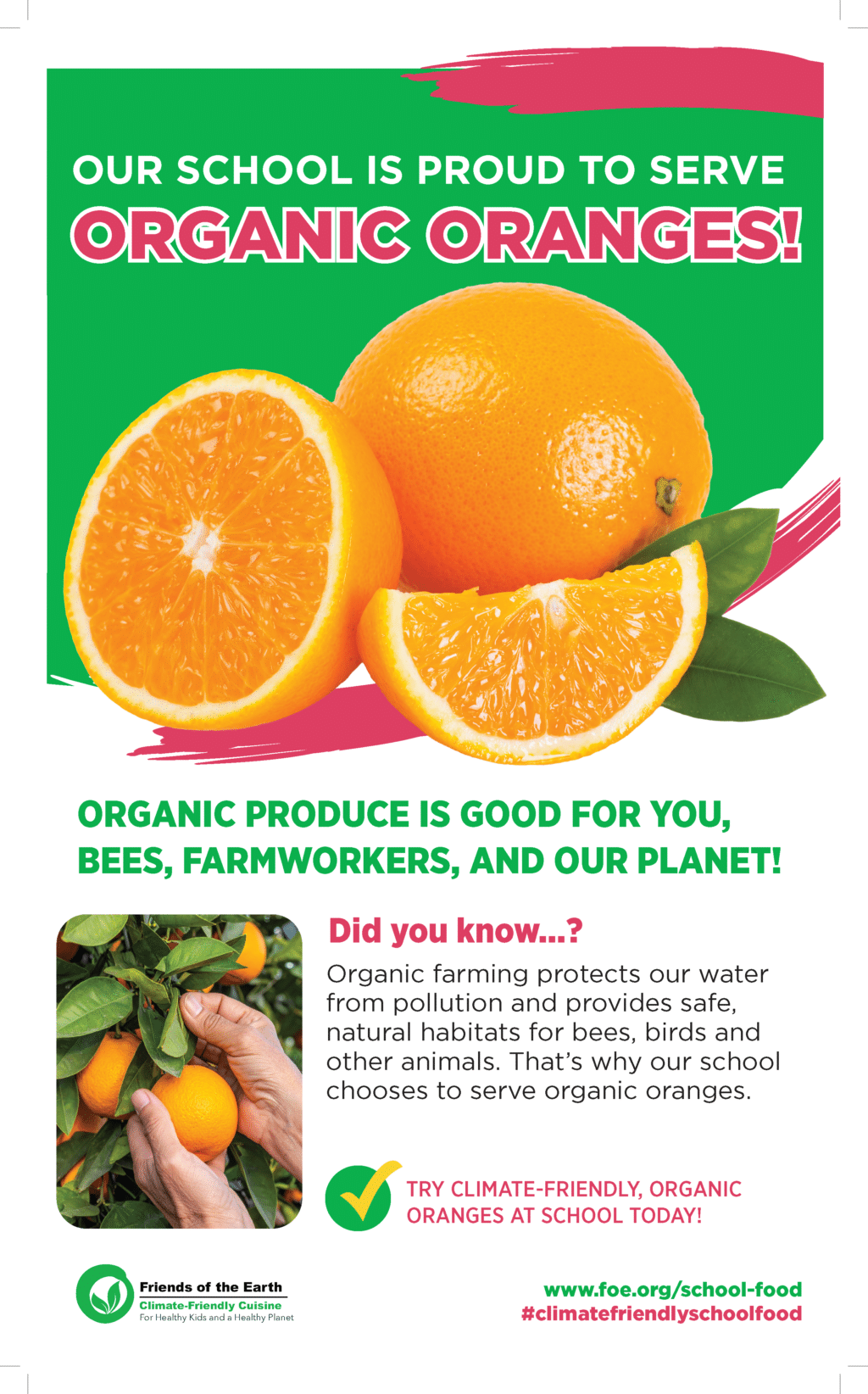 May contain three oranges, one whole and two sliced, with green leaves.